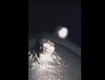 Lunar Landing Nipple